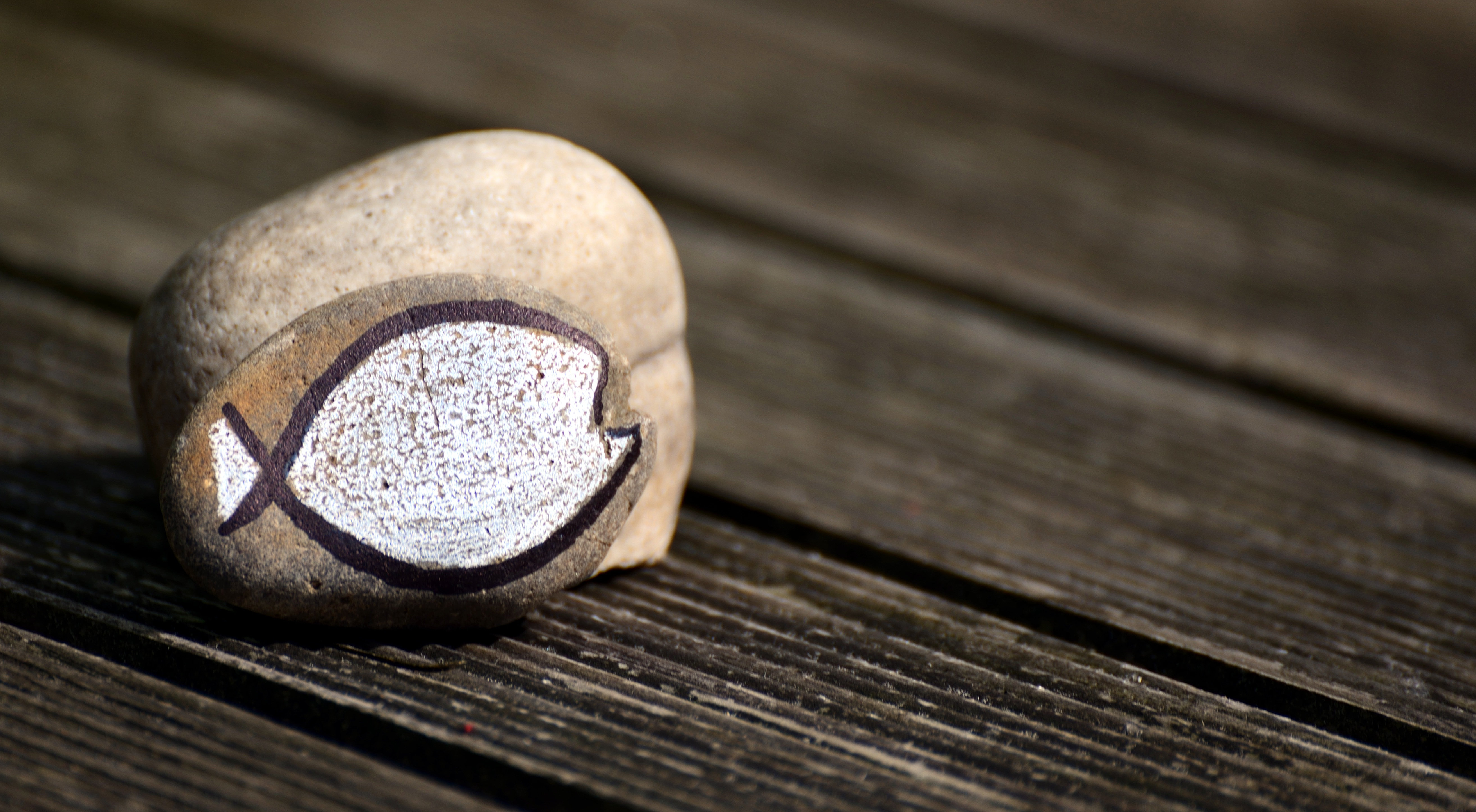 fish 5353000 by congerdesign pfarrbriefservice