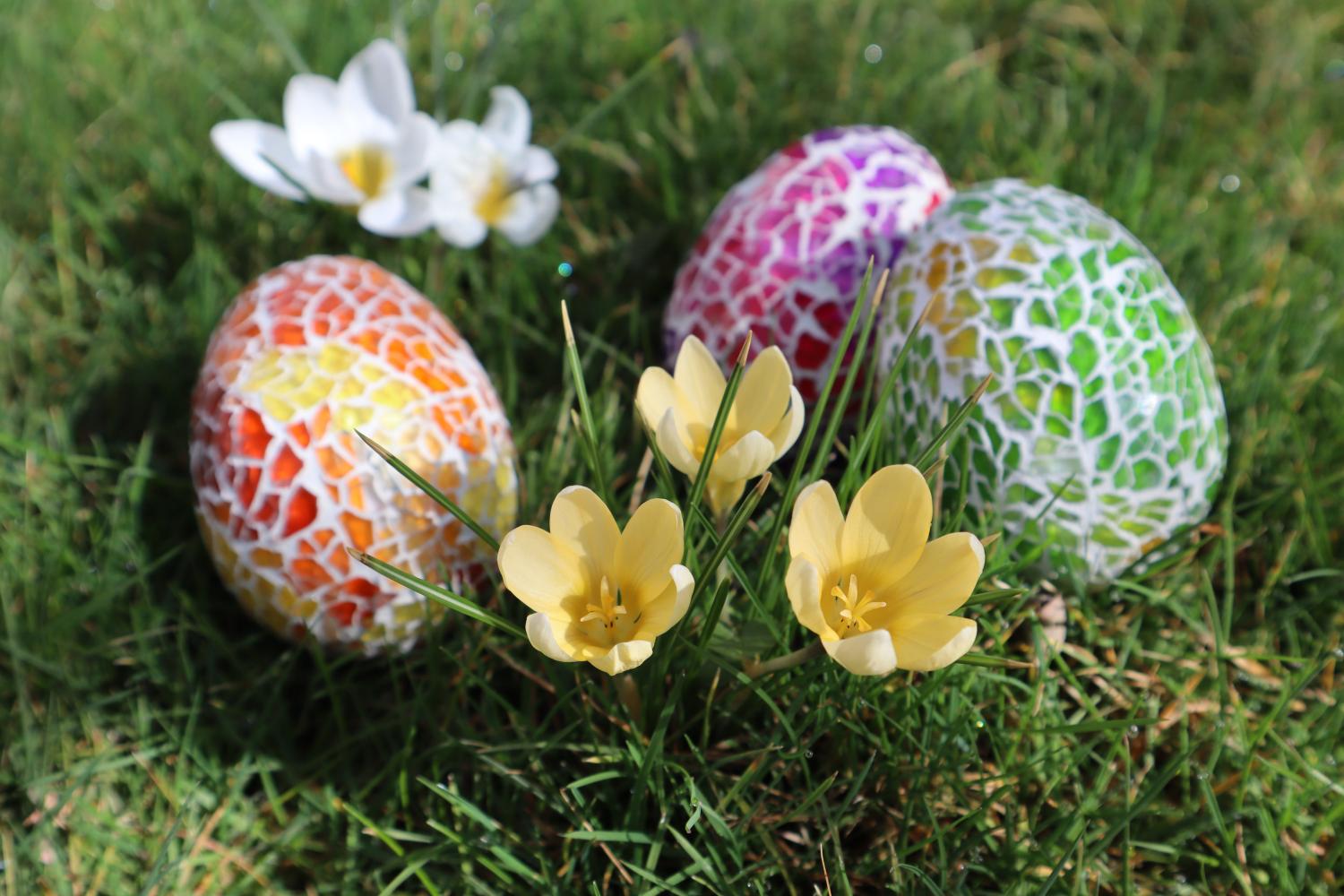 img 2111 by anja treffler pfarrbriefservice