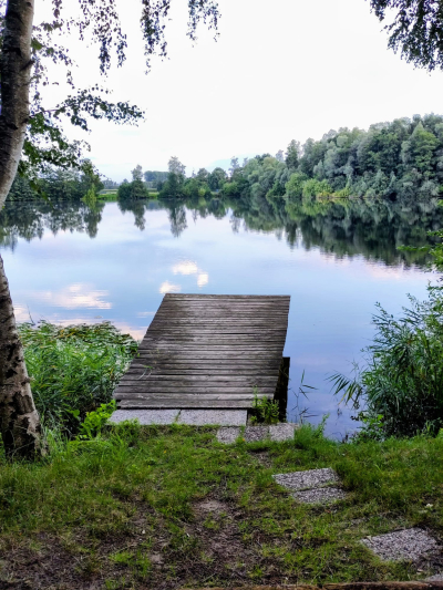 See in Rebbeke