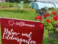 Neues vom Pilgerradweg zum Sonnengesang in unserem Pastoralverbund