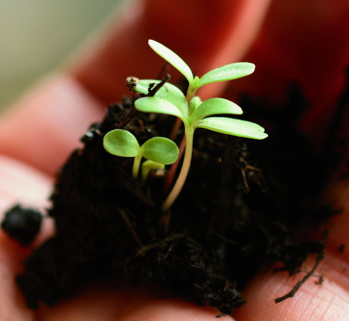 Kreuzweg-Andacht in St. Marien